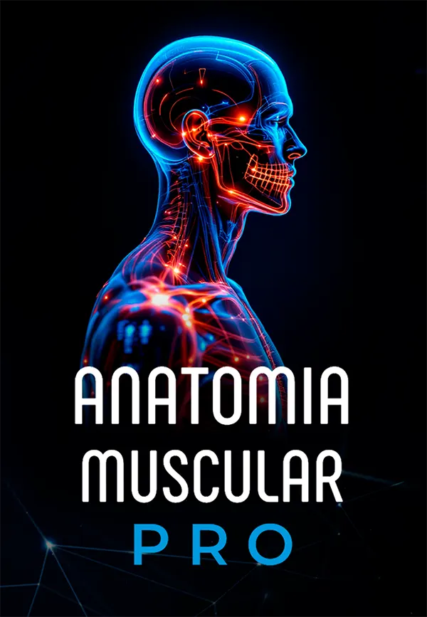 Anatomia.webp